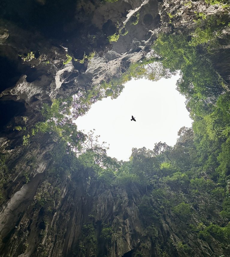 A bird flying over the top of the Batu Caves in Malaysia