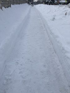 Snow cleared sidewalk for pedestrian
