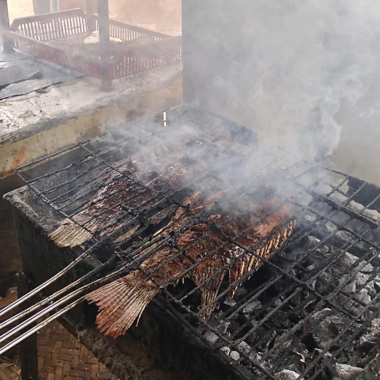 Grilling fish in traditional way