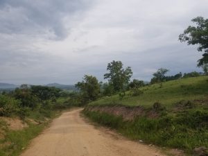 Road to Rwenkobwa, Ibanda District, Western Uganda
