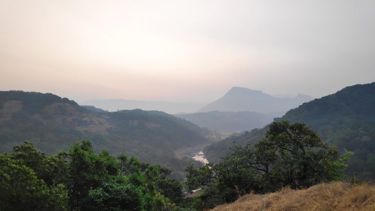 Hills, Nature, Trees