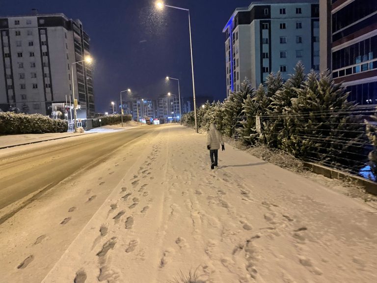 Beautiful snow night beside road