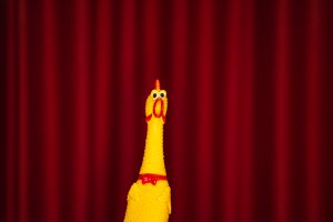 Rubber chicken in front of a curtain
