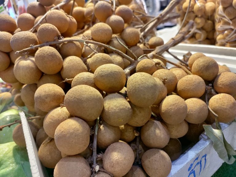 Longan