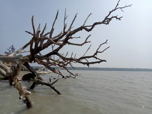 Kotka Sea Beach, Sundarbans, Bangladesh
