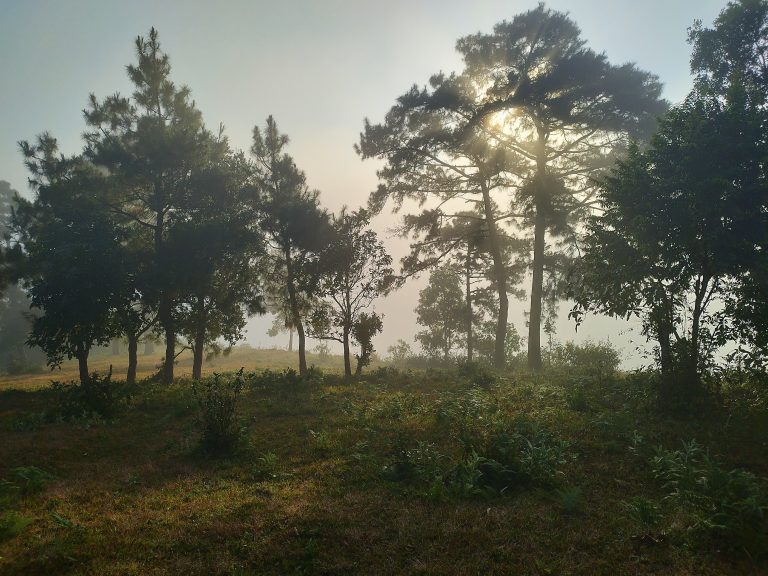 A beautiful sunrise at Mihmyntdu, West Jaintia Hills, Meghalaya