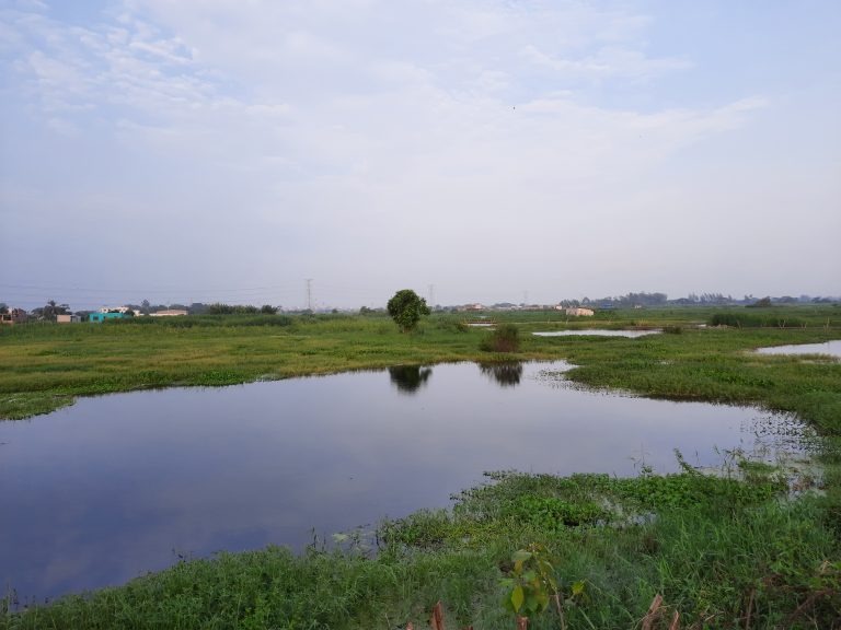 The serenity of a small river against a clear sky