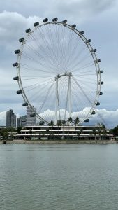 The Singapore Flyer in Singapore
