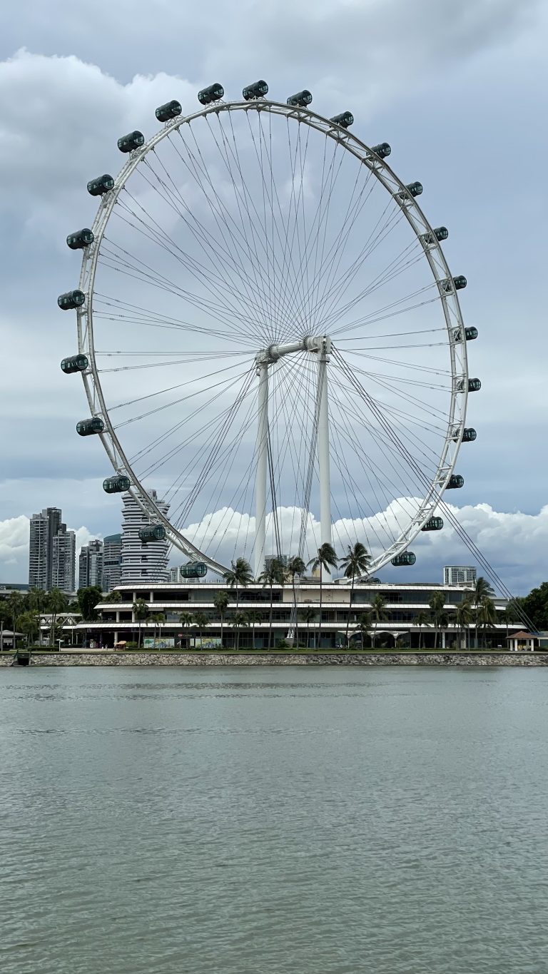 The Singapore Flyer in Singapore