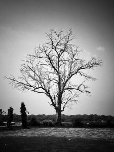 View larger photo: Hiran Minar Park Sheikhupura Black and White Picture