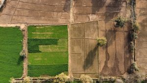 Drone View of a field
