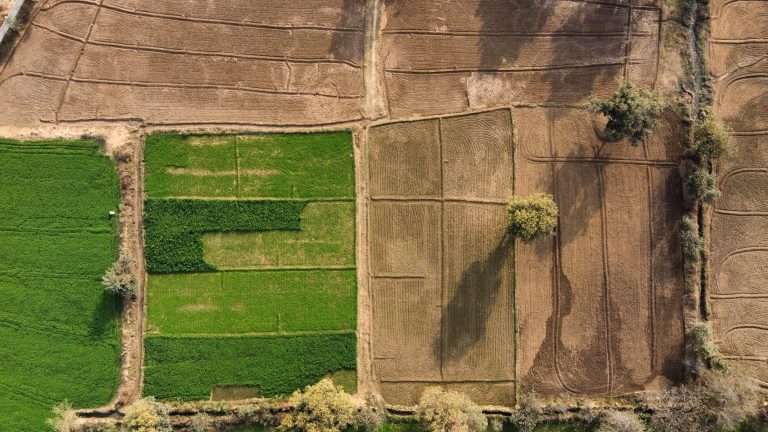 Drone View of a field