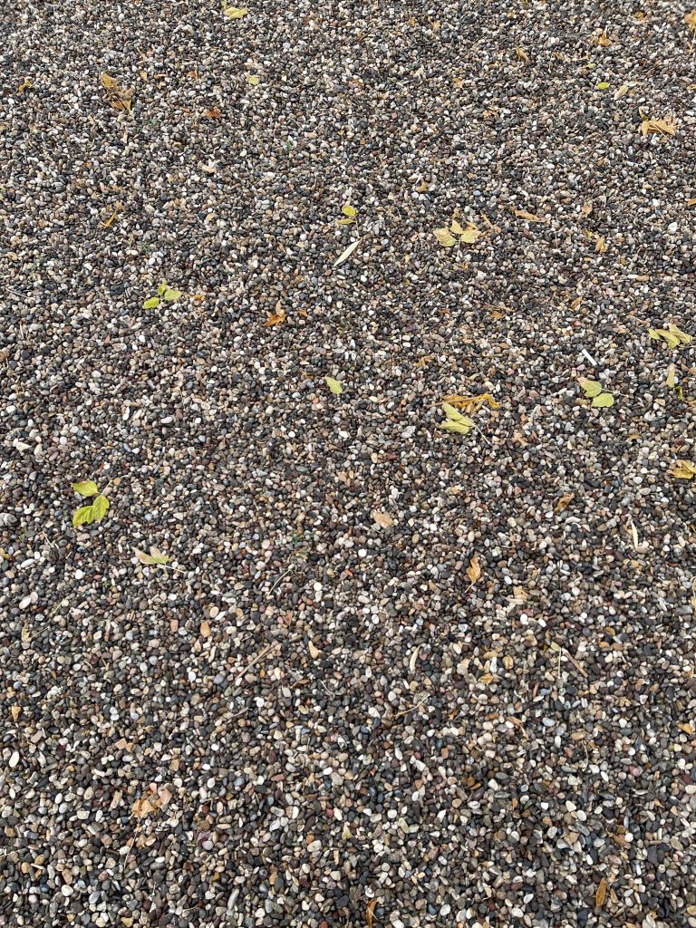 Stones, Pebbles, and Rotting Leaves