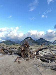 Vertical panoramic photo on the beach of Pobeña in Bizkaia showing the sky, the mountains in the background, the sand of the beach in the foreground and several logs dragged by the current.

