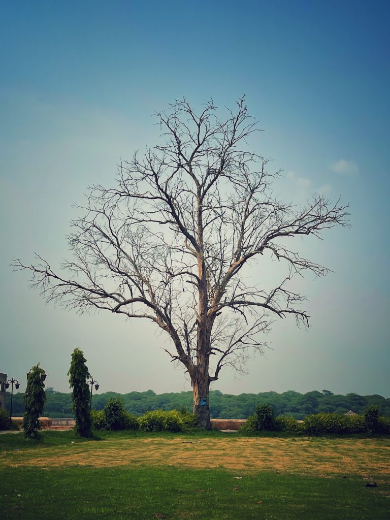 Hiran Minar Park Sheikhupura Natural Picture