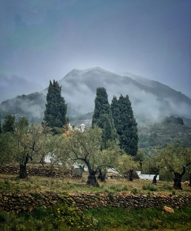 Capa de nieve tímida sobre Sierra Blanquilla