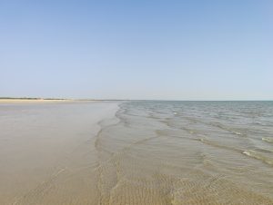 Beach photo with waves – Mandvi beach
