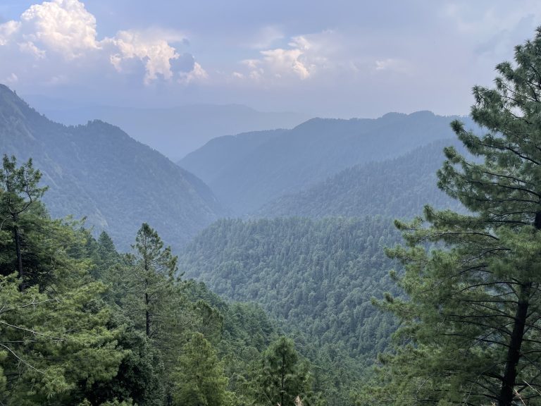 A photograph was captured in Nathia Gali, which is located in Pakistan.