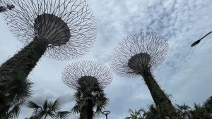 A picture of Gardens By The Bay in Singapore

