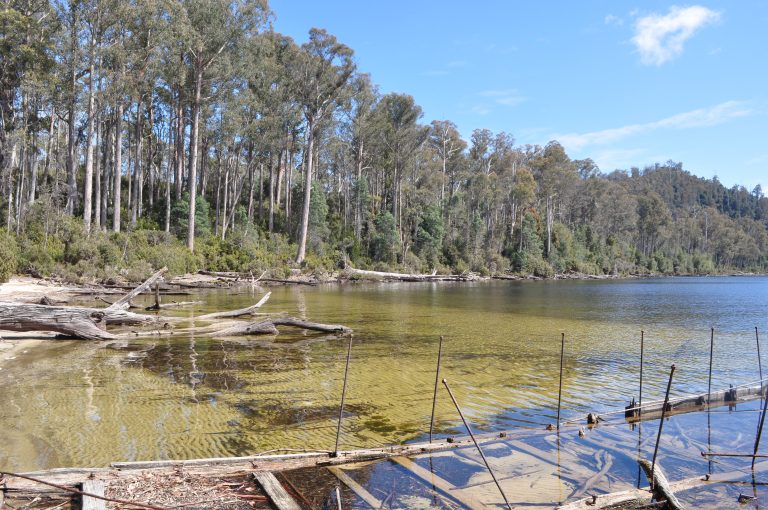 Lake St Clair, Tasmania