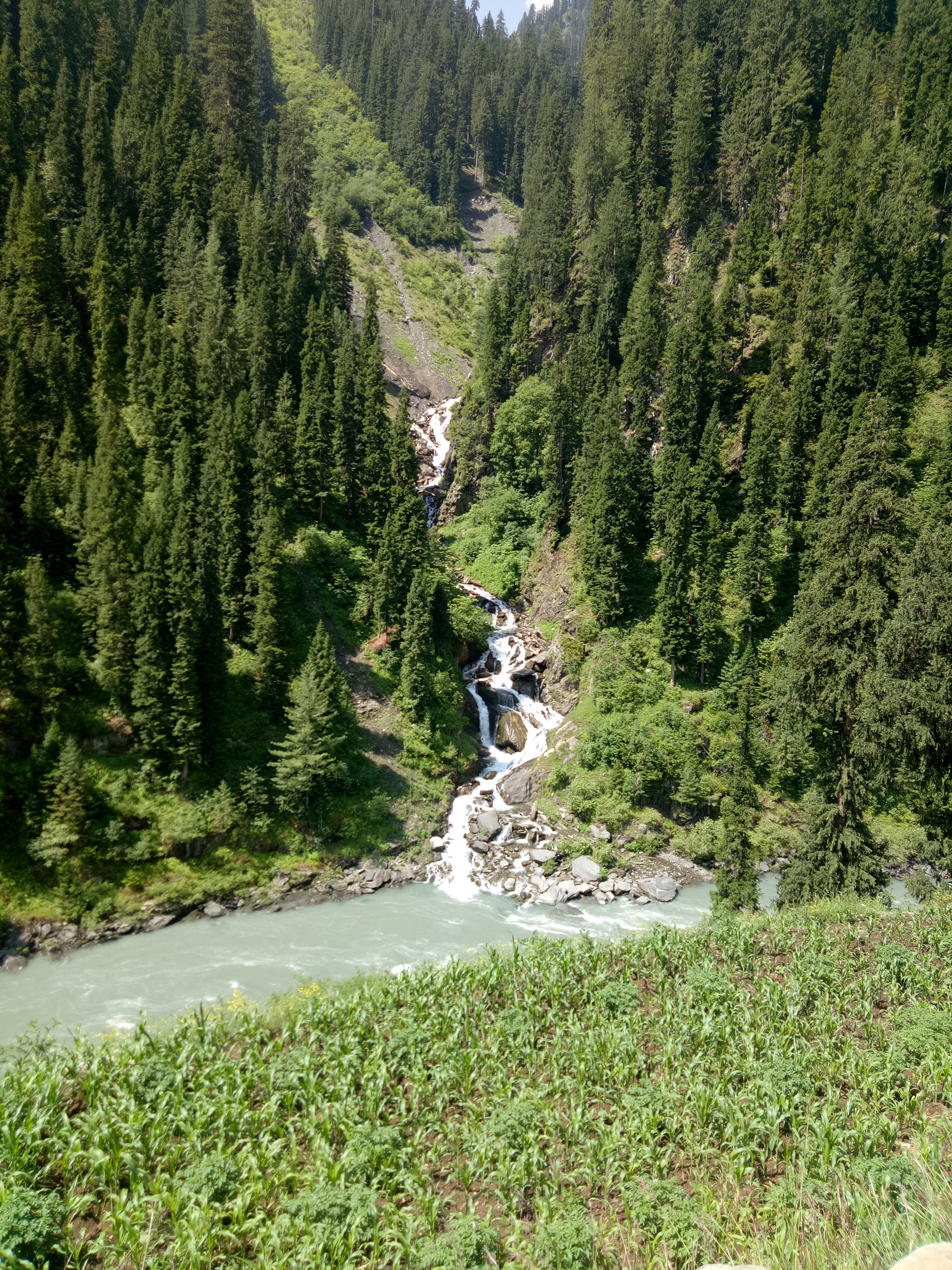 A photo was taken in the Valley of Kail, situated in Pakistan's Kashmir region.