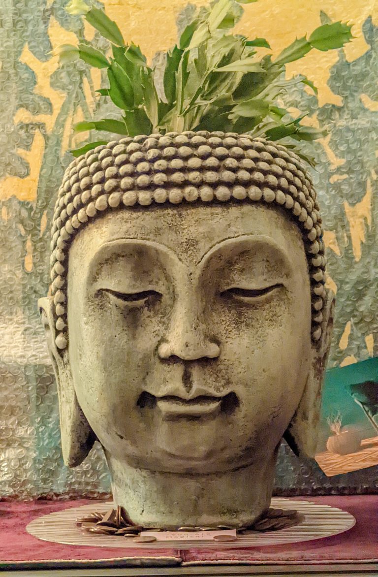 Buddha head, grey and blue pottery, with succulent flower growing out of its head.