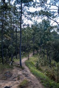 Hiking Trail, Chiang Mai, Thailand