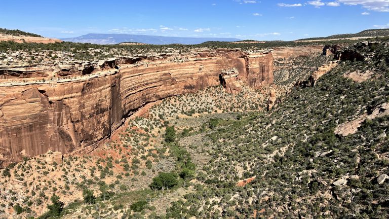 Southern Colorado Desert Canyon