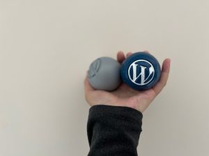 WordPress Blue Ball Wallpaper Collection: Blue and gray balls in palm
