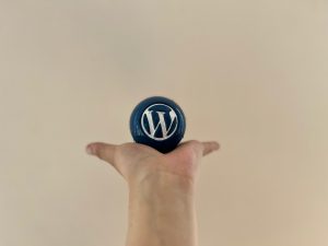 WordPress Blue Ball Wallpaper Collection: Ball in Palm (2)
