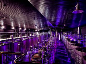 Wine fermentation room in a winery in Ribeira Sacra (Galicia, Spain)
