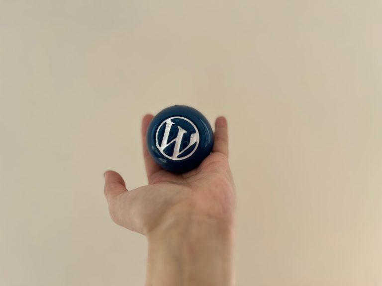 WordPress Blue Ball Wallpaper Collection: Ball in Palm (1)