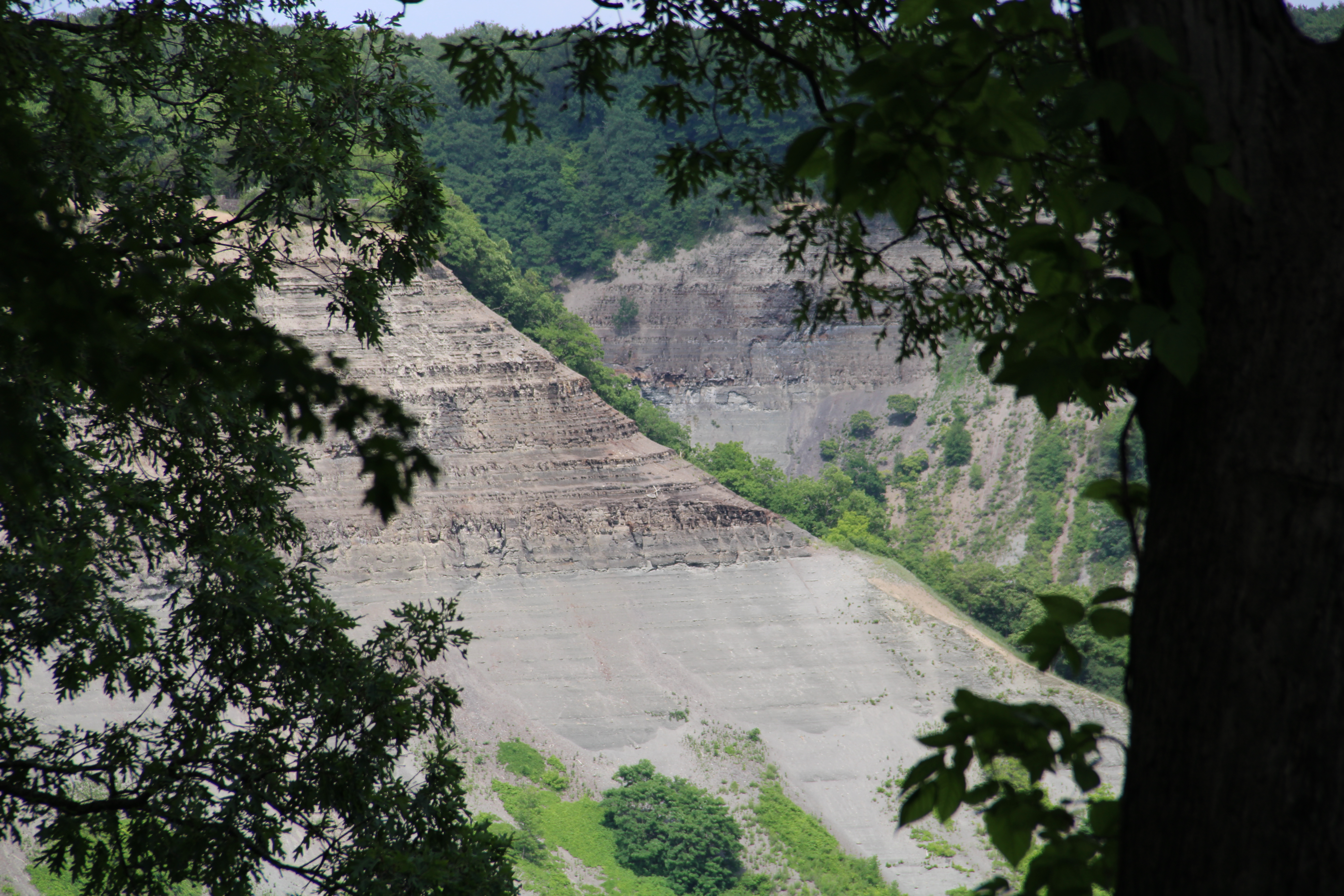 Referred to as the "Grand Canyon of the East," the Letchworth gorge was carved out by the Genesee River, that flows north into Lake Ontario at Rochester, New York.

Letchworth Gorge, Letchworth New York, New York, USA