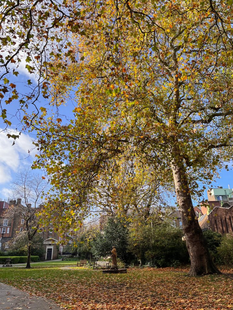 Autumn noon at Saint George’s Gardens in London