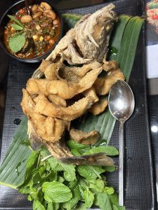 Fish in Thailand
