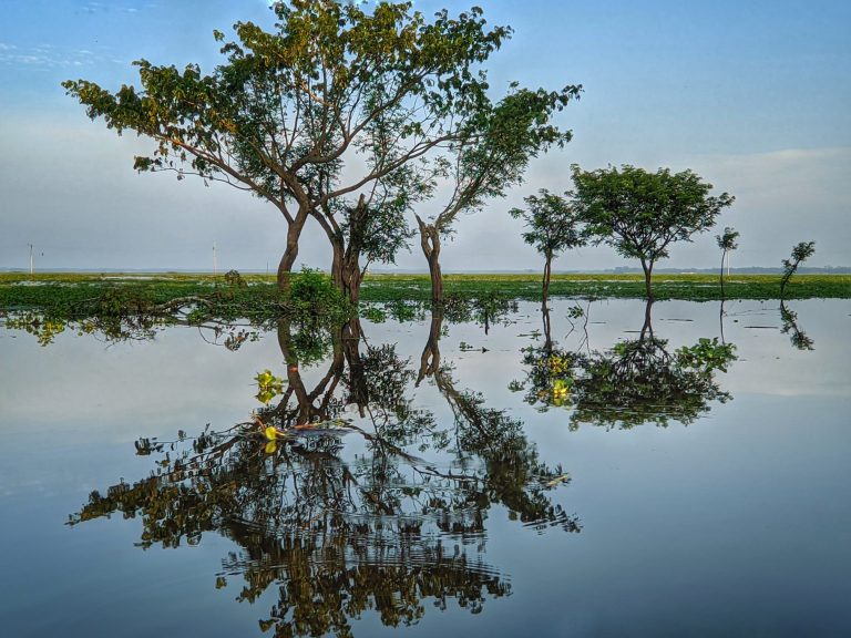 Nature’s masterpiece – a stunning tree reflecting on the calm waters. This photo captures the serenity and beauty of our natural world. It’s a reminder to slow down, appreciate the present moment, and find peace in the stillness of nature.