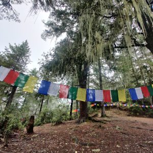 Buddhist Flags on Paro Taktsang (Tiger’s Nest) hiking trail
