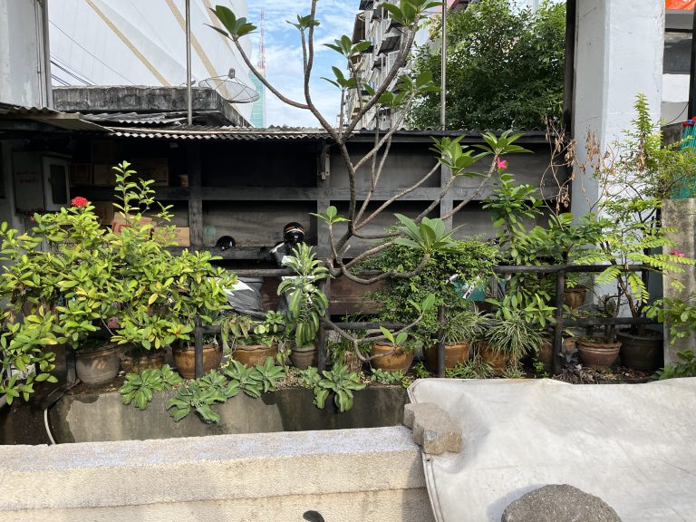 Tiny green space alongside the street in Bangkok, Thailand