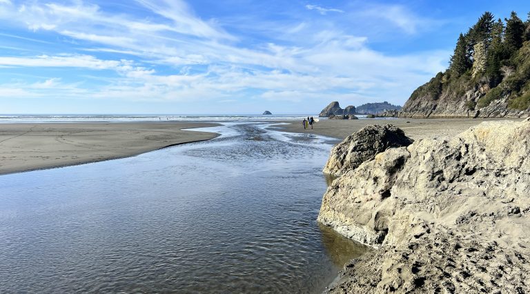 Surfers and creek terminus at a northern California beach