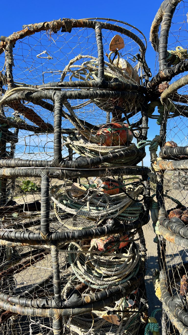 Fishing Crab Pots Stacked At The Marina