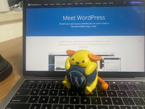 Entity wapuu pictured with www.remarpro.com, taken in (2022), during sample development.