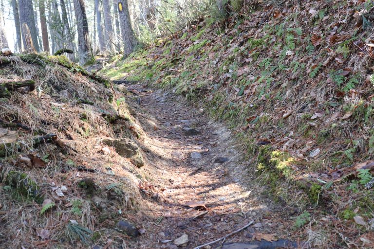 Hidden Trail at Caledonia State Park