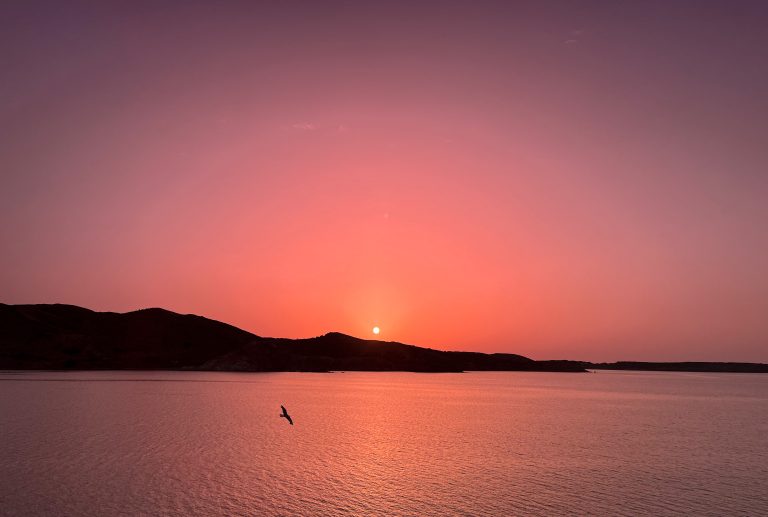 In a pink and orange sunset, the sun is near to hide behind the horizon while a bird glides above the Mediterranean Sea (Menorca, Spain).