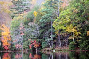 Autumn on the Ausable River near Lake Placid, New York, Adirondack Mountain, USA