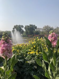 Flower with Fountain