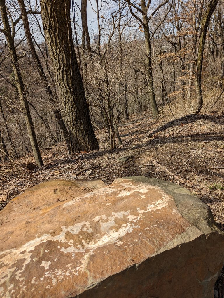 A big, rectanglish rock in the woods