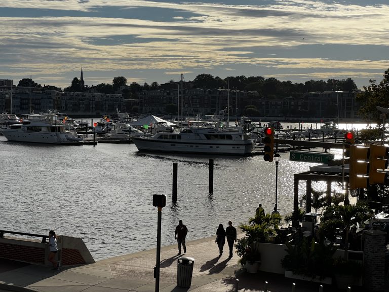 Shimmering water at harbor on a crowded sunny day