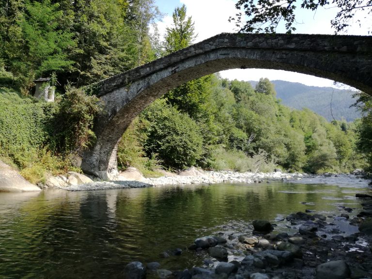 bridge, stone bridge, forest