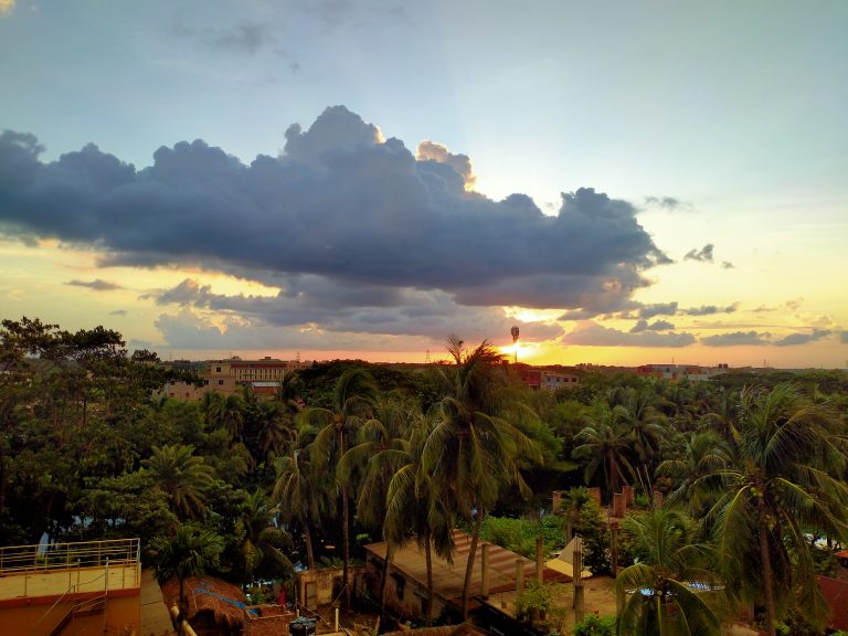 Looking across country from tree-top level. Lots of palm trees in the foreground. It’s sunset, with some towering clouds obscuring the sun.