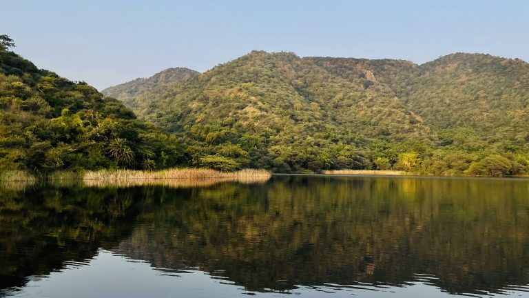 Beautiful lake view with greenery around.